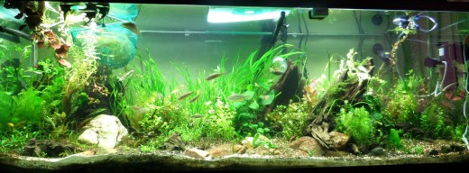 SAMSUNG CAMERA PICTURES