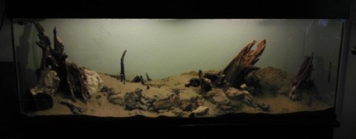 150 Hardscape 3 - Cropped