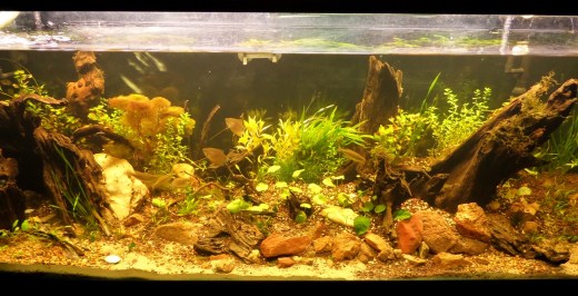 SAMSUNG CAMERA PICTURES