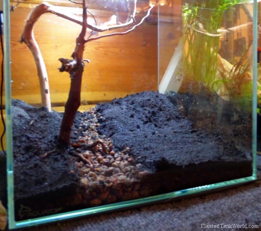 5 all substrate down