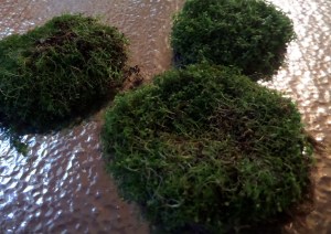 SAMSUNG CAMERA PICTURES