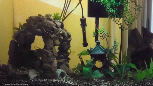 Full shot of my old GSP tank. One of my first aquariums from a long time ago... 